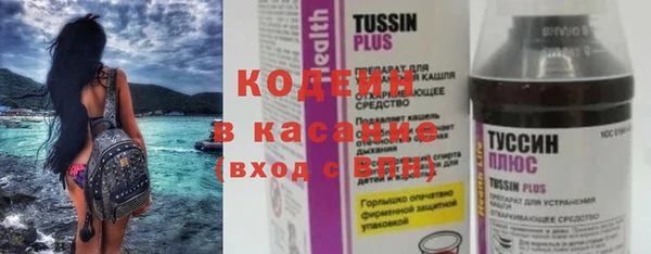шишки Арсеньев