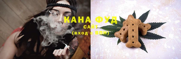 Альфа ПВП Аркадак