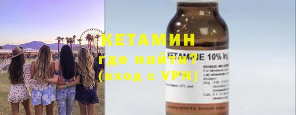 шишки Арсеньев