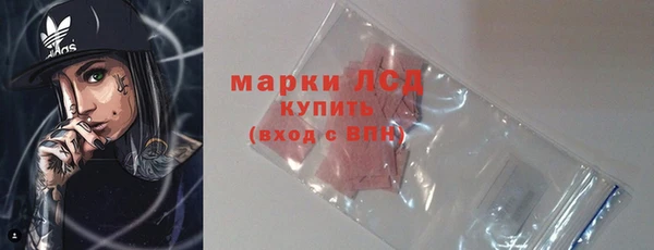 Альфа ПВП Аркадак