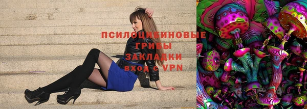 Альфа ПВП Аркадак