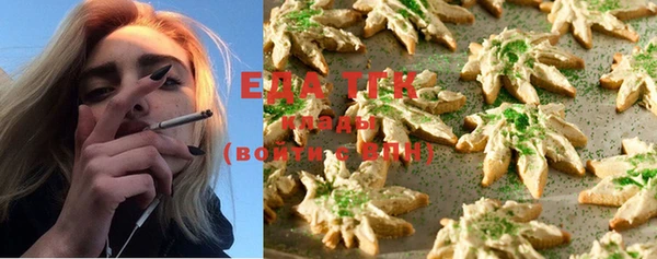 шишки Арсеньев