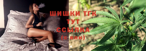 дживик Балахна