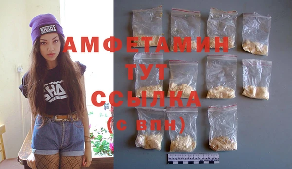 шишки Арсеньев
