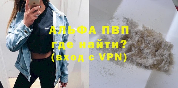 шишки Арсеньев