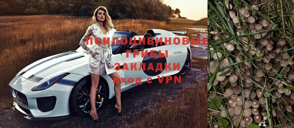 Альфа ПВП Аркадак