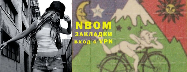шишки Арсеньев