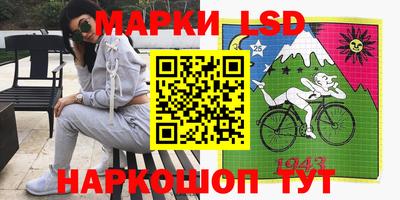 гашик Надым