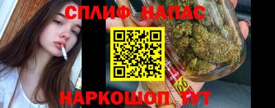 гашик Надым