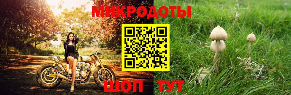 Баксан  Галлюциногенные грибы мицелий  Вход с VPN 